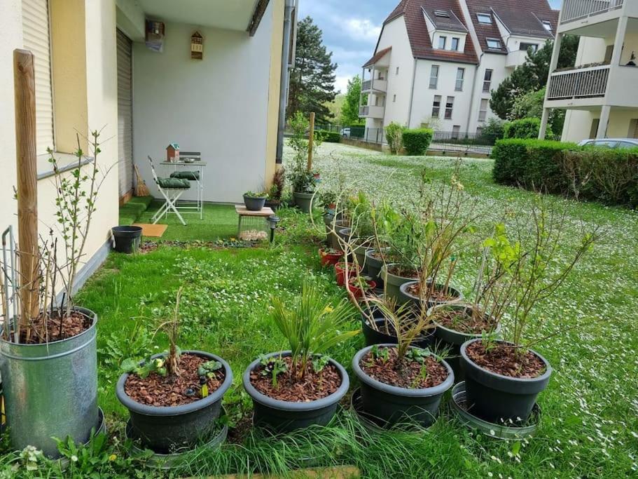 L'Univers Au Blanc. Apartment Strasbourg Exterior photo